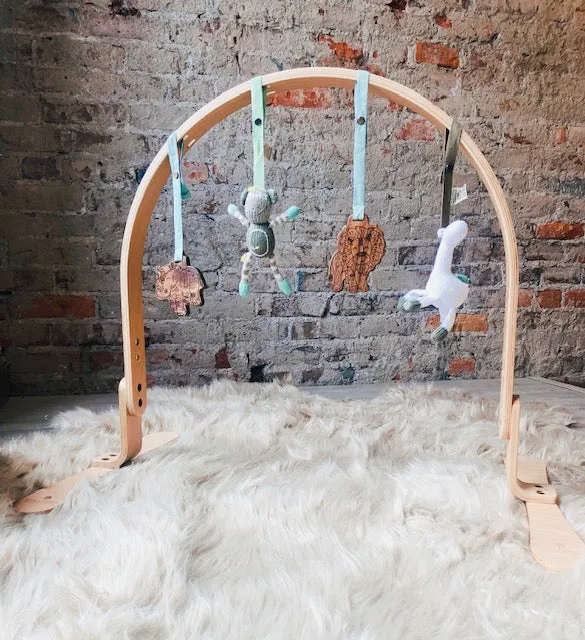 Finn   Emma Play Gym